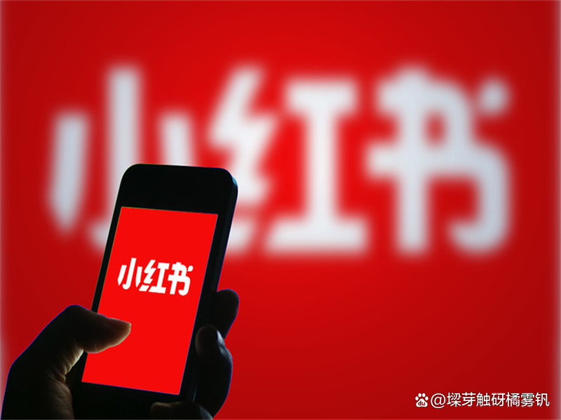 多平台涨粉对比